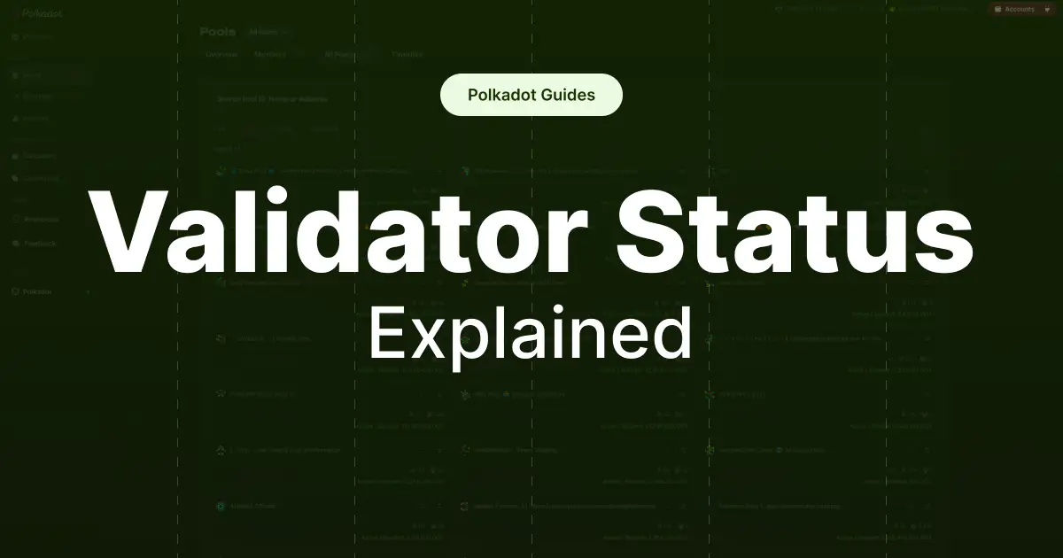 Polkadot validator status explained